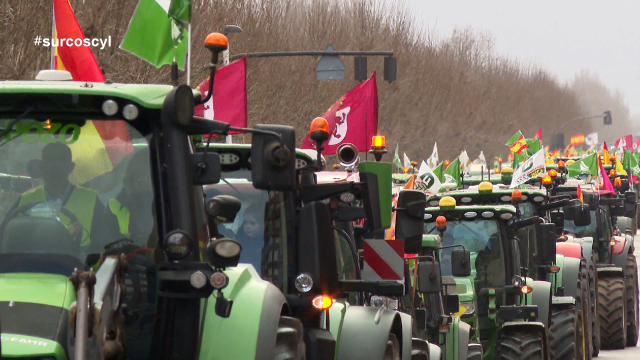 El sector agrario de Castilla y León se moviliza contra el acuerdo Mercosur
