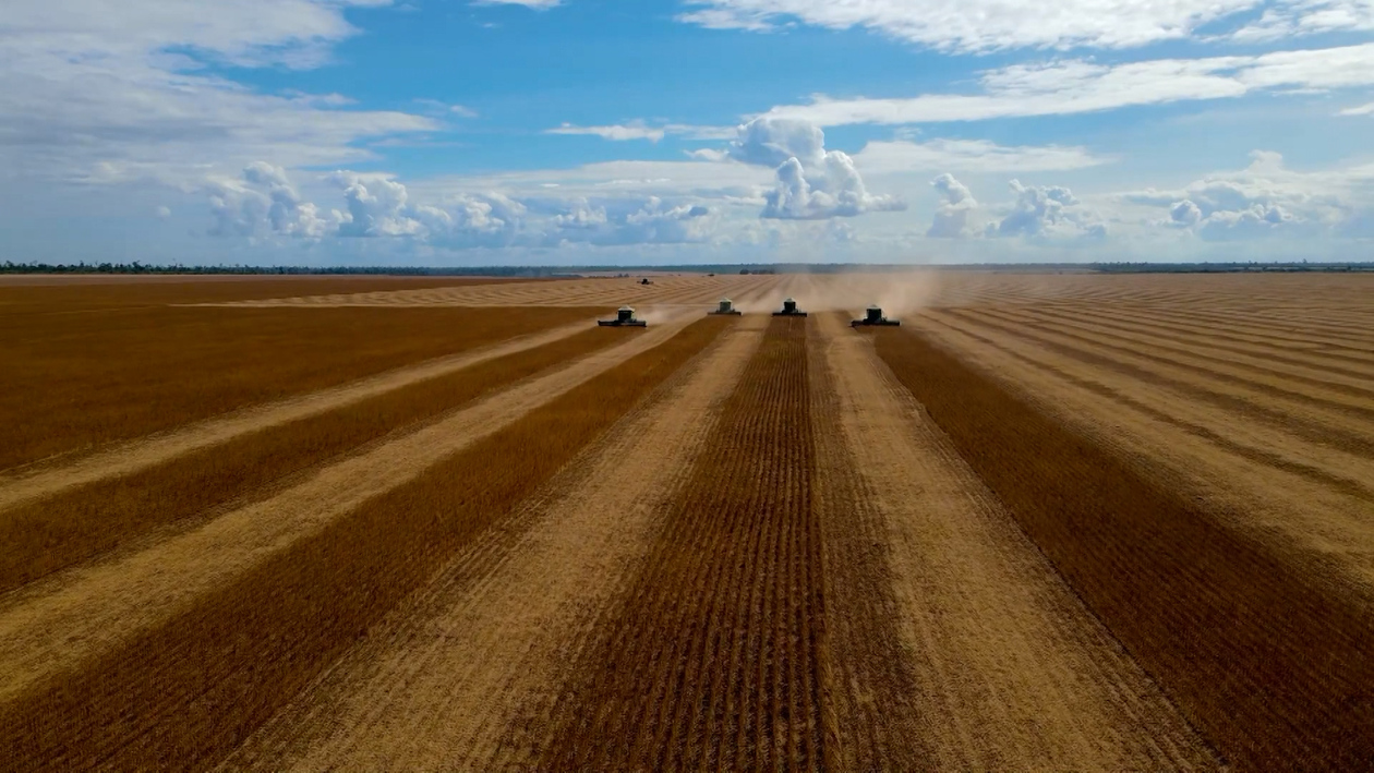 Drones y satélites al rescate del campo
