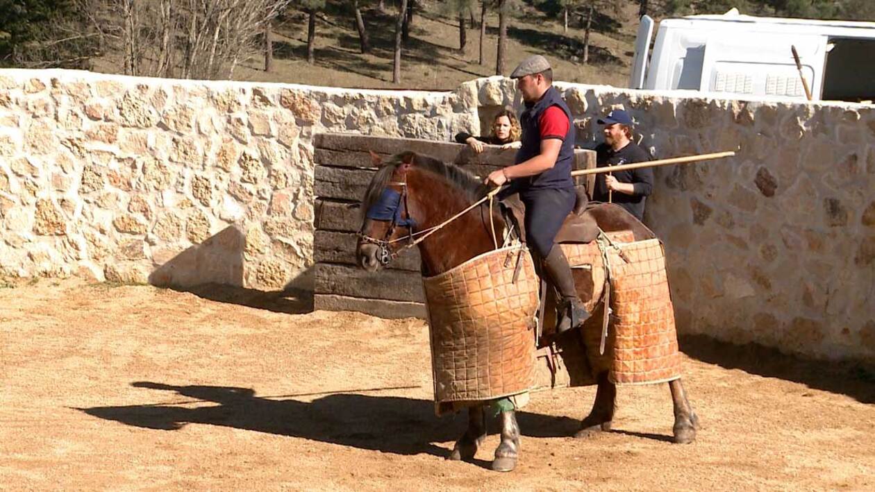 El papel de los caballos de picar también determina una buena tarde de toros