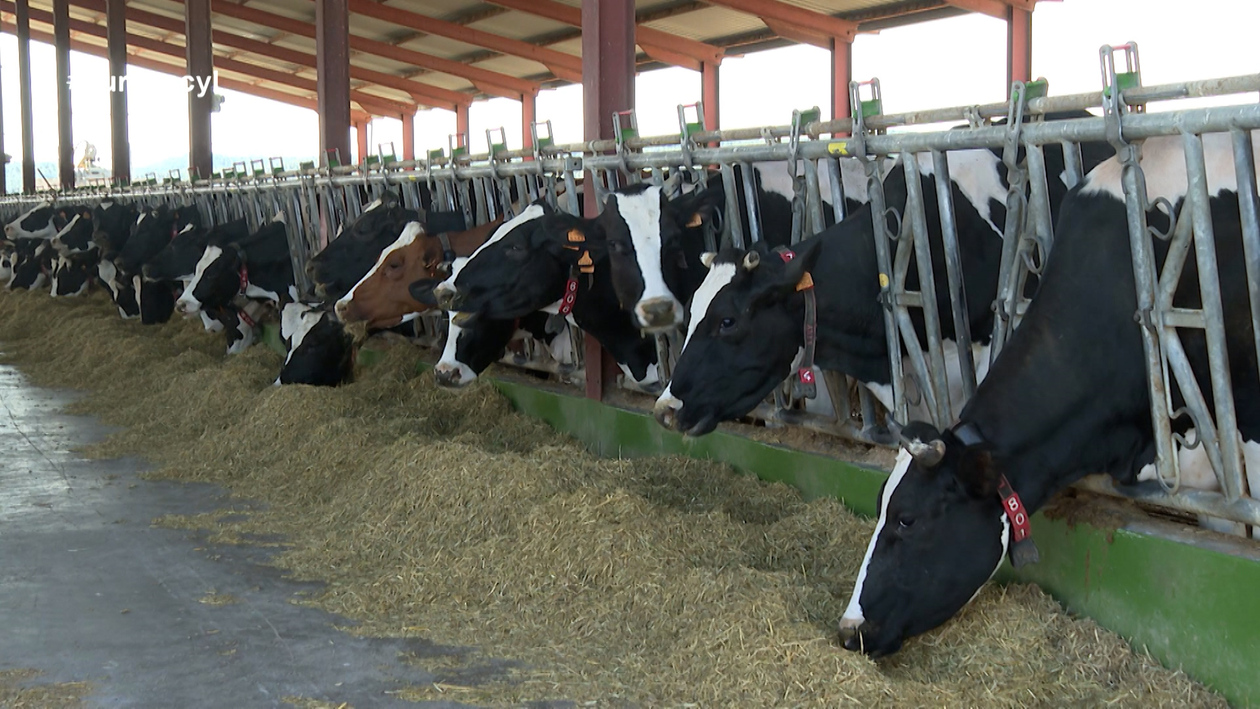La viabilidad del vacuno de leche en Castilla y León, bajo amenaza