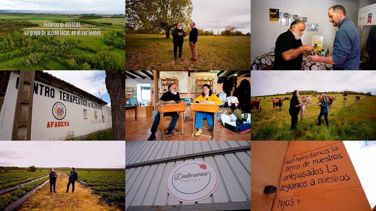 T12/E38: Historias de un Grupo de Acción Local en el sur leonés