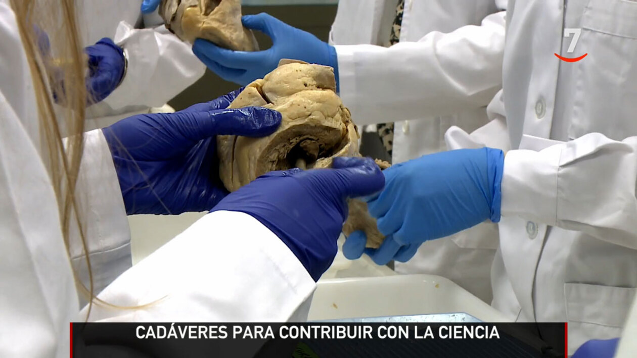 Crece la donación de cadáveres para la ciencia y la investigación en la ...