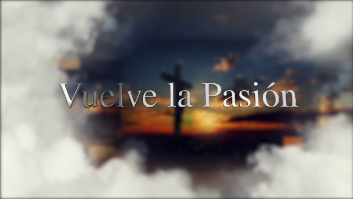 CyLTV sigue en directo la Semana Santa de Castilla y León - cyltv.es